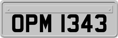 OPM1343