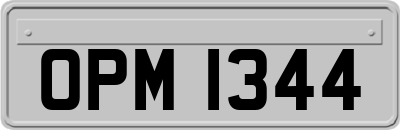 OPM1344