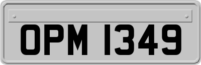 OPM1349