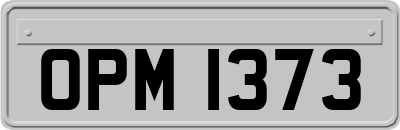 OPM1373