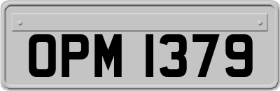 OPM1379