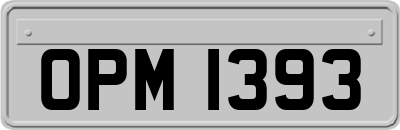 OPM1393