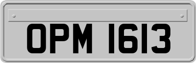 OPM1613