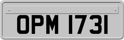 OPM1731