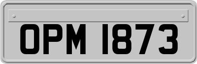 OPM1873