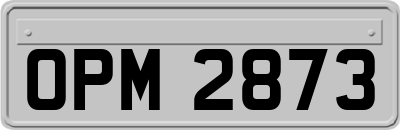 OPM2873
