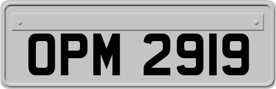 OPM2919