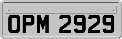 OPM2929
