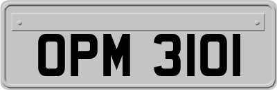 OPM3101