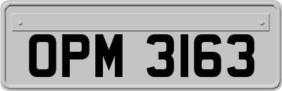 OPM3163