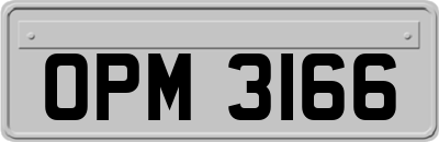 OPM3166