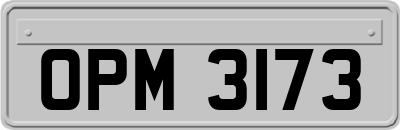 OPM3173