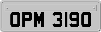 OPM3190