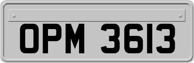OPM3613