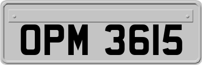 OPM3615