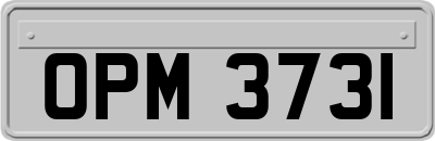 OPM3731