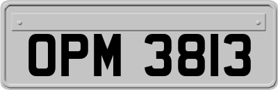 OPM3813