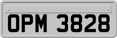 OPM3828