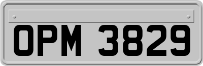 OPM3829