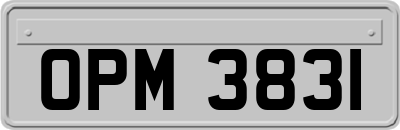 OPM3831