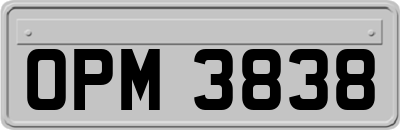OPM3838