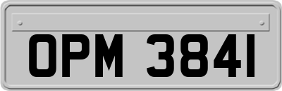 OPM3841