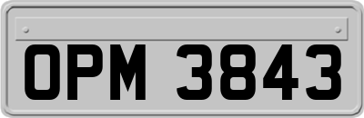 OPM3843