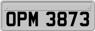OPM3873