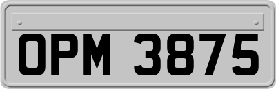 OPM3875