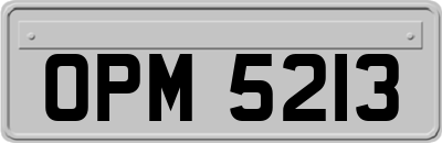 OPM5213