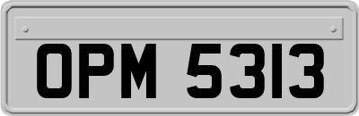 OPM5313