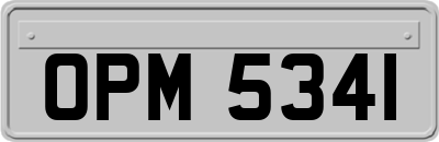 OPM5341