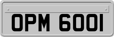 OPM6001