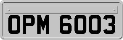 OPM6003
