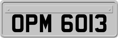OPM6013