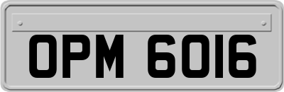 OPM6016