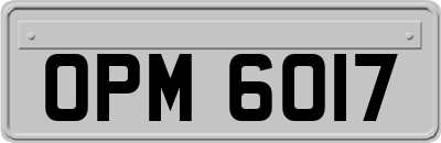 OPM6017