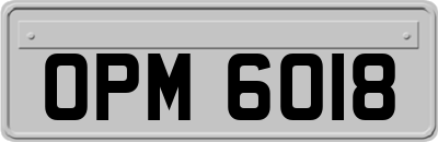 OPM6018