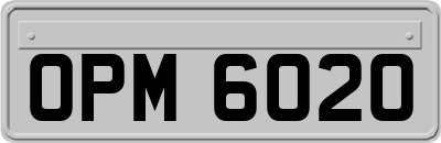 OPM6020