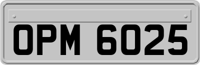 OPM6025