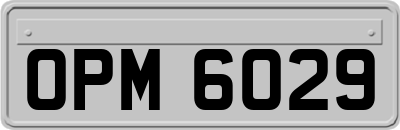 OPM6029