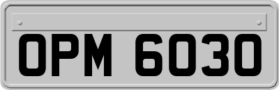 OPM6030