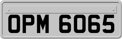 OPM6065