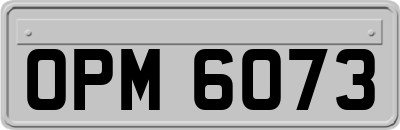 OPM6073