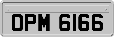 OPM6166