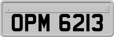 OPM6213