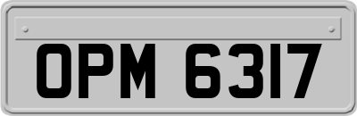OPM6317