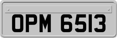 OPM6513
