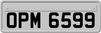 OPM6599