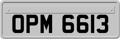 OPM6613